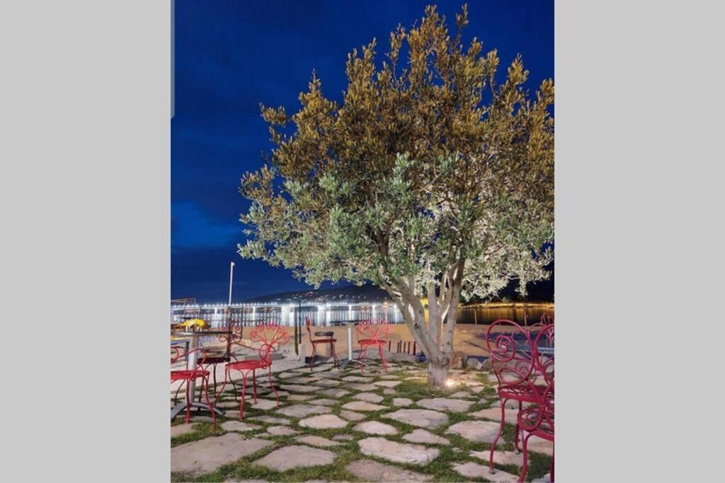 Oleandar Daire Trogir Dış mekan fotoğraf